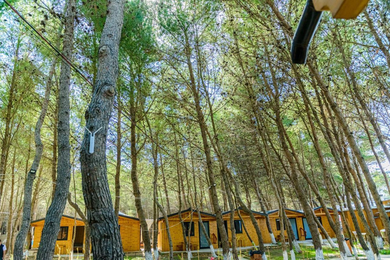 Ecuador Resort Zverneci Exteriör bild